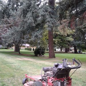 Meet your Posher, Osmar